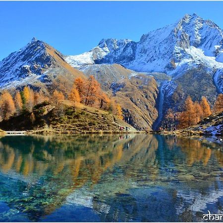 Hotel Pension Du Lac Bleu La Gouille المظهر الخارجي الصورة