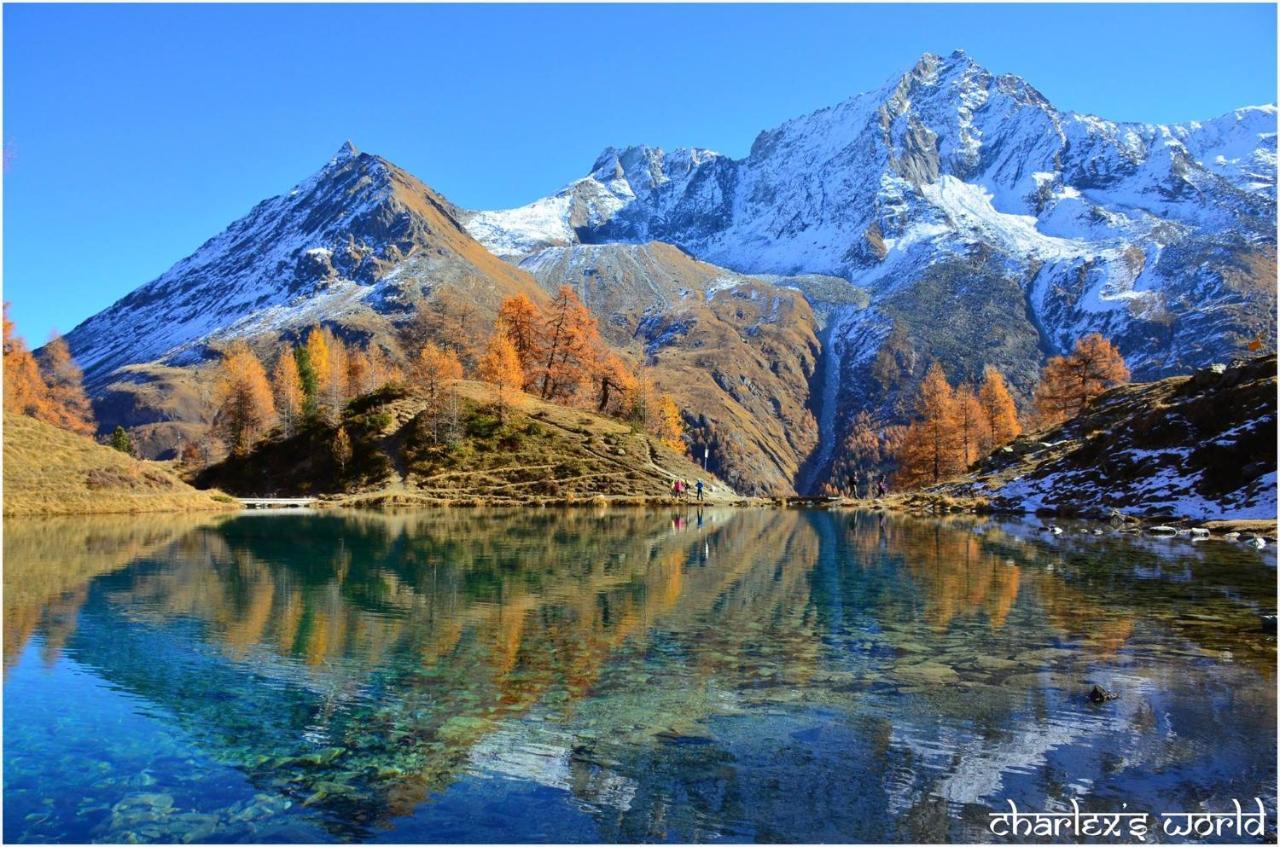 Hotel Pension Du Lac Bleu La Gouille المظهر الخارجي الصورة